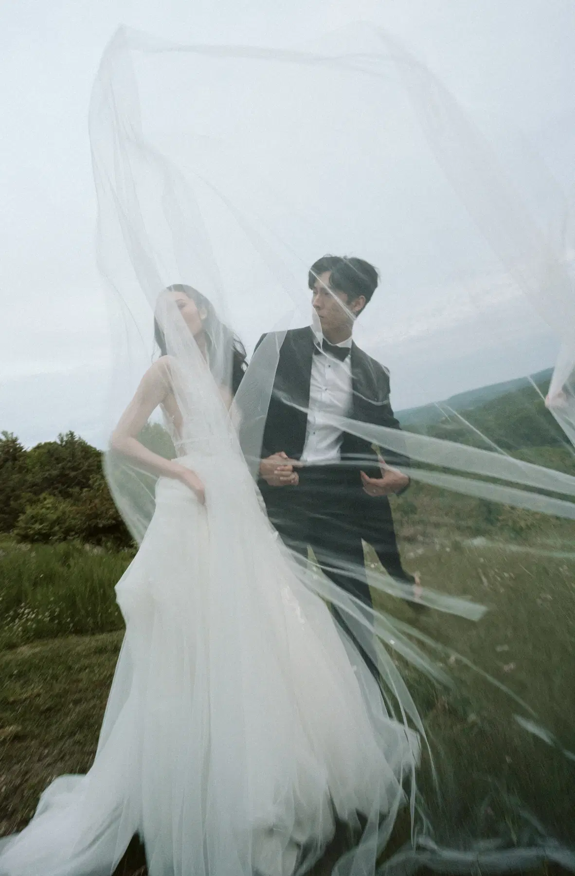 Wedding couple beneath a flowing veil