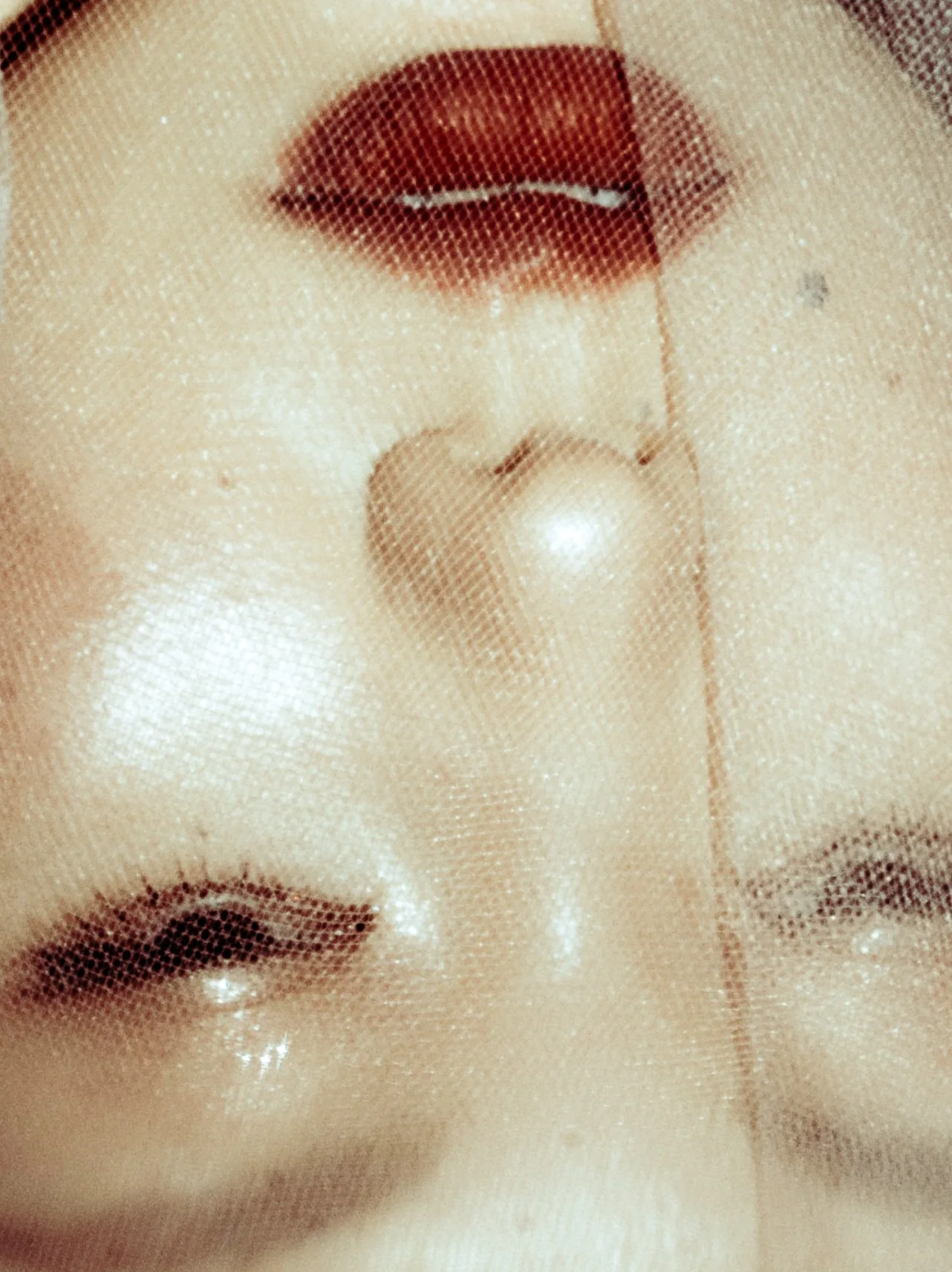 Beauty details seen through a translucent veil